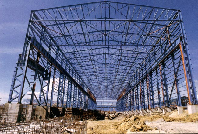 南岸船厂网架工程